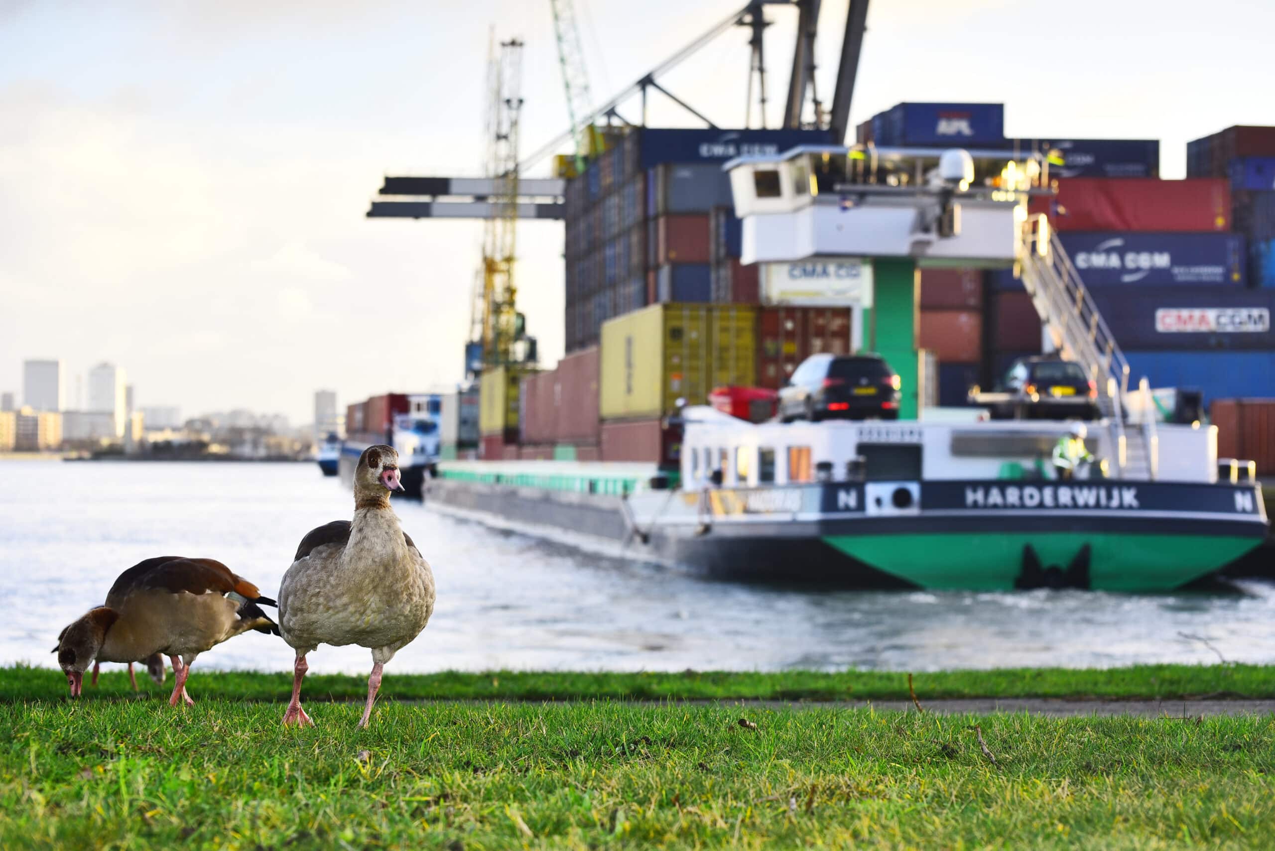 Meer rust in de planning